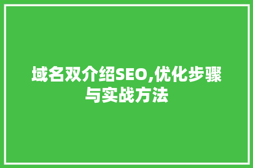 域名双介绍SEO,优化步骤与实战方法