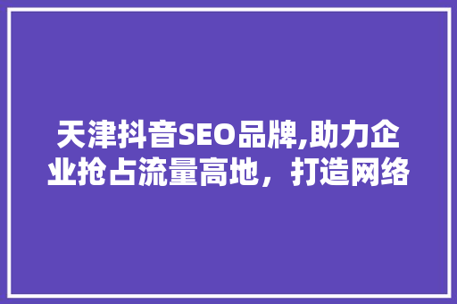 天津抖音SEO品牌,助力企业抢占流量高地，打造网络营销新格局
