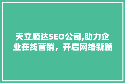 天立顺达SEO公司,助力企业在线营销，开启网络新篇章