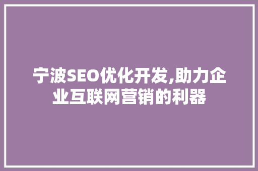 宁波SEO优化开发,助力企业互联网营销的利器