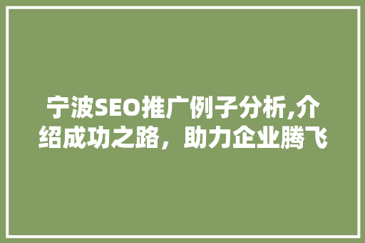 宁波SEO推广例子分析,介绍成功之路，助力企业腾飞