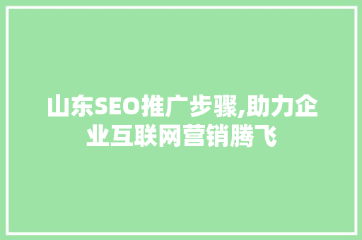 山东SEO推广步骤,助力企业互联网营销腾飞
