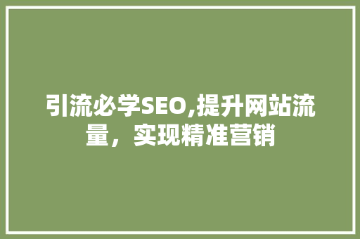 引流必学SEO,提升网站流量，实现精准营销