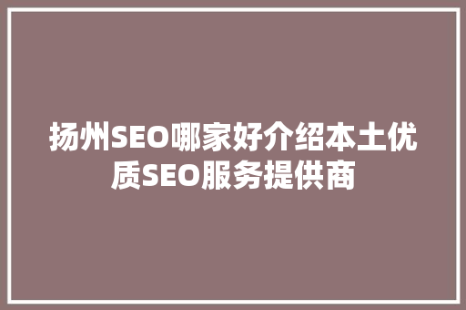 扬州SEO哪家好介绍本土优质SEO服务提供商