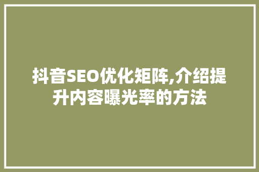 抖音SEO优化矩阵,介绍提升内容曝光率的方法