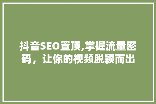 抖音SEO置顶,掌握流量密码，让你的视频脱颖而出
