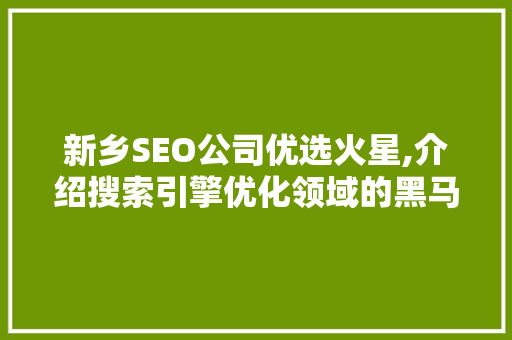 新乡SEO公司优选火星,介绍搜索引擎优化领域的黑马