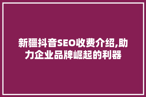 新疆抖音SEO收费介绍,助力企业品牌崛起的利器