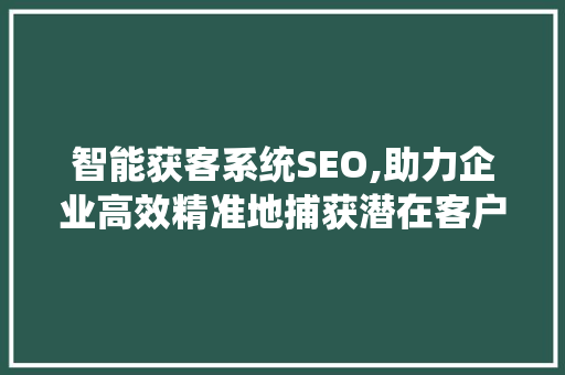 智能获客系统SEO,助力企业高效精准地捕获潜在客户