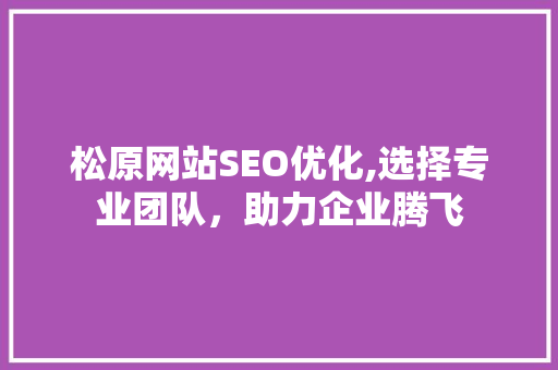 松原网站SEO优化,选择专业团队，助力企业腾飞