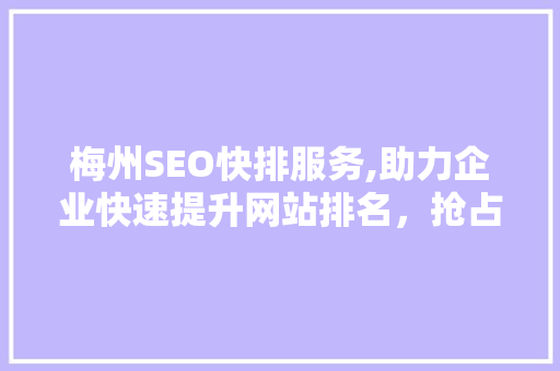 梅州SEO快排服务,助力企业快速提升网站排名，抢占市场先机