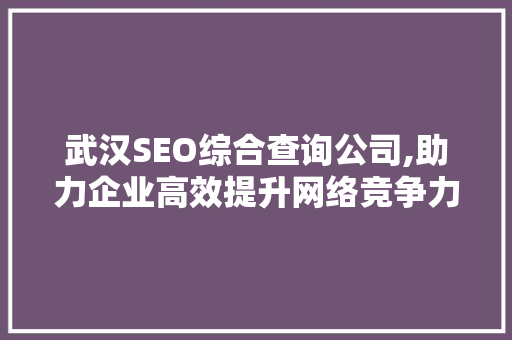 武汉SEO综合查询公司,助力企业高效提升网络竞争力