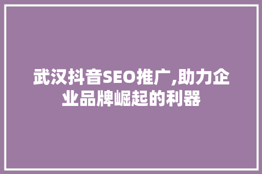 武汉抖音SEO推广,助力企业品牌崛起的利器