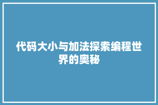 代码大小与加法探索编程世界的奥秘