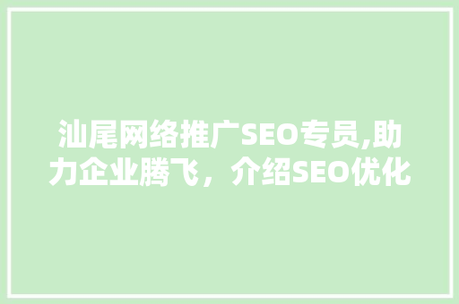 汕尾网络推广SEO专员,助力企业腾飞，介绍SEO优化之路