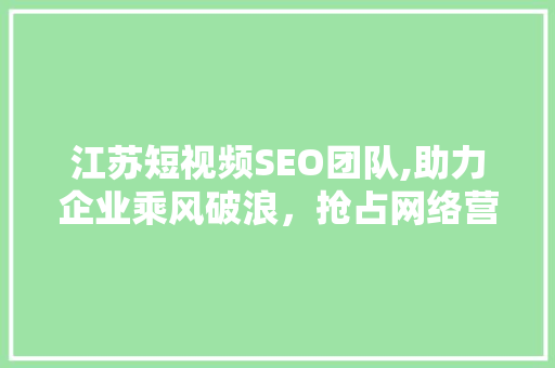 江苏短视频SEO团队,助力企业乘风破浪，抢占网络营销新高地