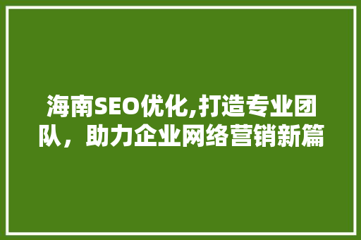 海南SEO优化,打造专业团队，助力企业网络营销新篇章