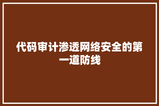 代码审计渗透网络安全的第一道防线