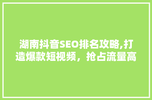 湖南抖音SEO排名攻略,打造爆款短视频，抢占流量高地