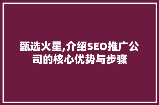 甄选火星,介绍SEO推广公司的核心优势与步骤