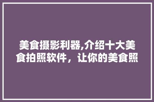 美食摄影利器,介绍十大美食拍照软件，让你的美食照片更具吸引力！