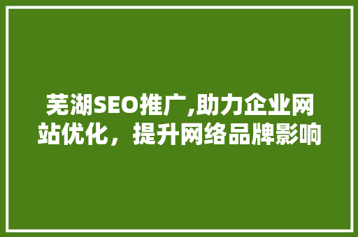 芜湖SEO推广,助力企业网站优化，提升网络品牌影响力