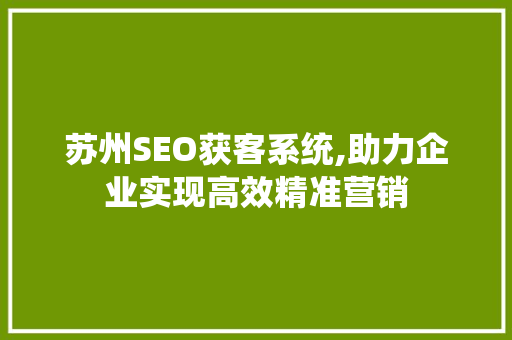 苏州SEO获客系统,助力企业实现高效精准营销