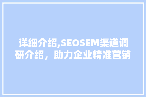 详细介绍,SEOSEM渠道调研介绍，助力企业精准营销