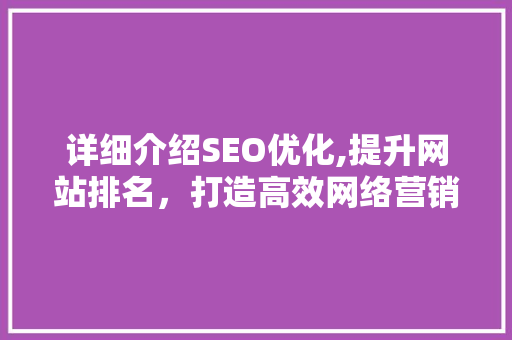 详细介绍SEO优化,提升网站排名，打造高效网络营销步骤