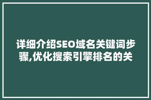 详细介绍SEO域名关键词步骤,优化搜索引擎排名的关键要素