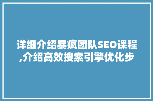 详细介绍暴疯团队SEO课程,介绍高效搜索引擎优化步骤