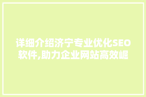 详细介绍济宁专业优化SEO软件,助力企业网站高效崛起