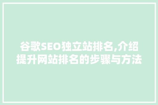 谷歌SEO独立站排名,介绍提升网站排名的步骤与方法