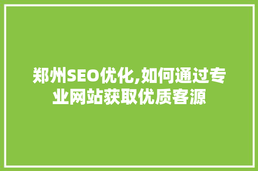 郑州SEO优化,如何通过专业网站获取优质客源