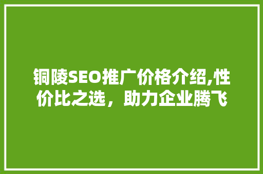铜陵SEO推广价格介绍,性价比之选，助力企业腾飞