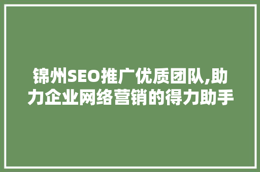 锦州SEO推广优质团队,助力企业网络营销的得力助手