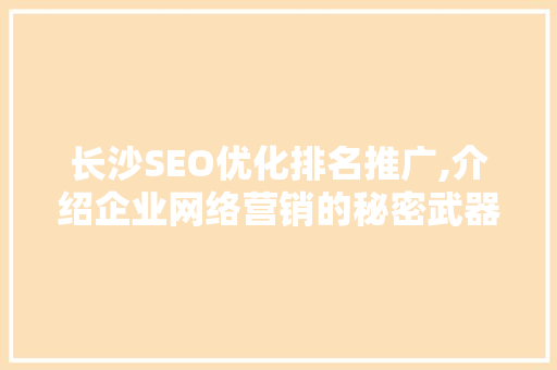 长沙SEO优化排名推广,介绍企业网络营销的秘密武器