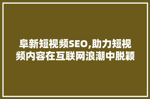 阜新短视频SEO,助力短视频内容在互联网浪潮中脱颖而出