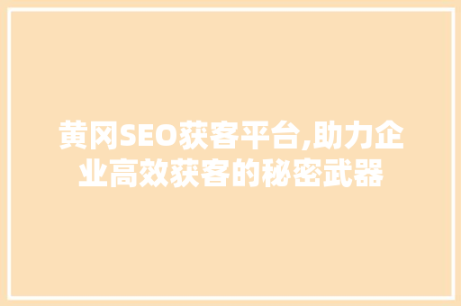 黄冈SEO获客平台,助力企业高效获客的秘密武器