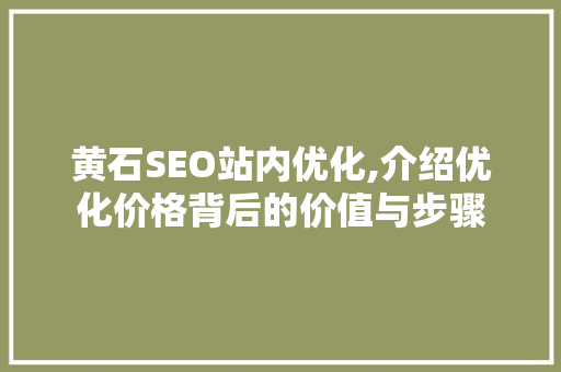 黄石SEO站内优化,介绍优化价格背后的价值与步骤