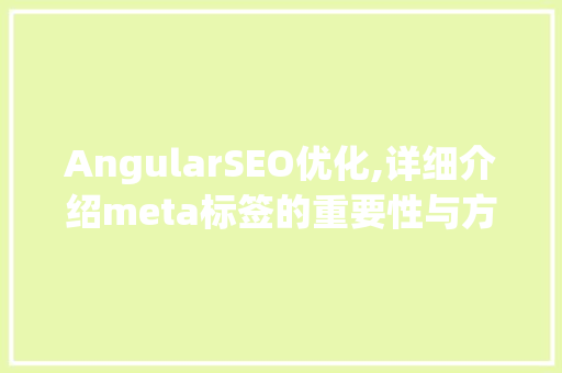AngularSEO优化,详细介绍meta标签的重要性与方法步骤