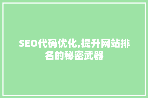 SEO代码优化,提升网站排名的秘密武器