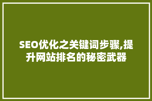 SEO优化之关键词步骤,提升网站排名的秘密武器