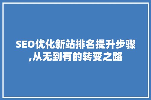 SEO优化新站排名提升步骤,从无到有的转变之路