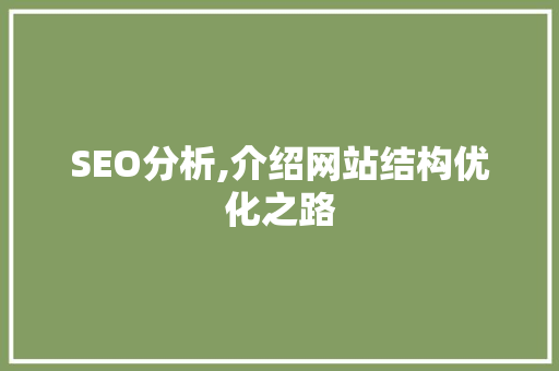 SEO分析,介绍网站结构优化之路