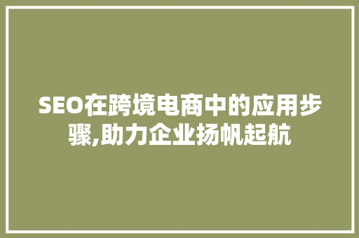 SEO在跨境电商中的应用步骤,助力企业扬帆起航