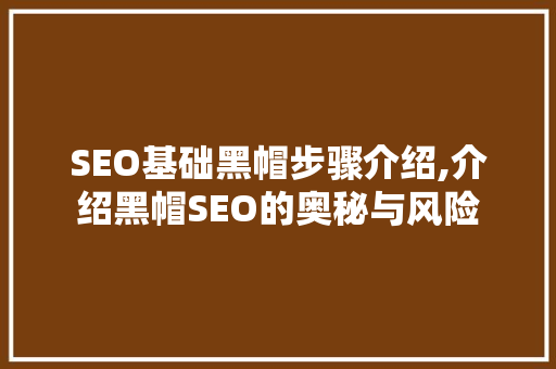 SEO基础黑帽步骤介绍,介绍黑帽SEO的奥秘与风险