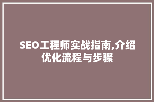 SEO工程师实战指南,介绍优化流程与步骤