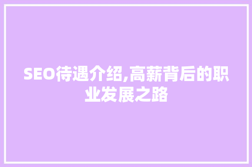 SEO待遇介绍,高薪背后的职业发展之路