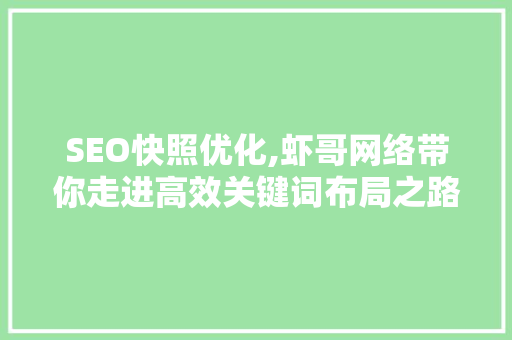 SEO快照优化,虾哥网络带你走进高效关键词布局之路